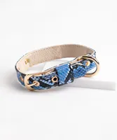 Snakeskin Pet Collar