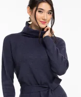 Turtleneck Sweater Dress