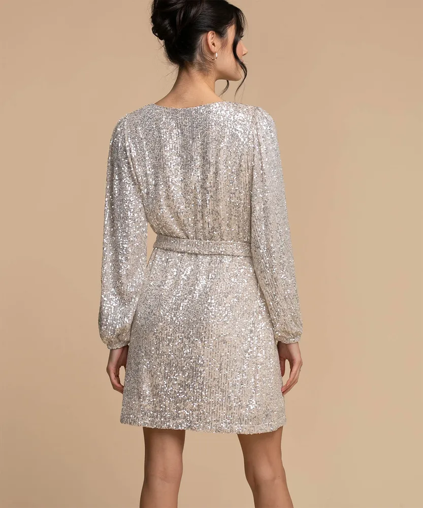 Balloon Sleeve Sequin Dress