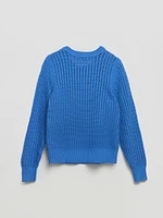 Long Sleeve Crochet Sweater