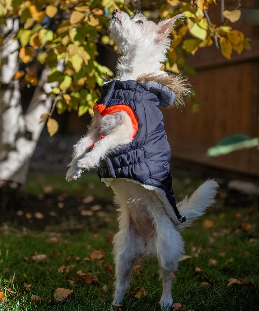 Puppy Puffer Coat