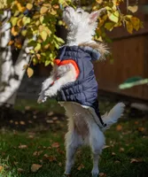 Puppy Puffer Coat