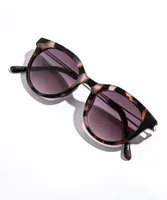 Matte Wayfarer Sunglasses