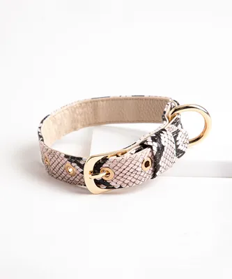 Snakeskin Pet Collar