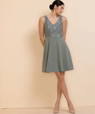 Sleeveless Lace Bodice Fit & Flare Dress