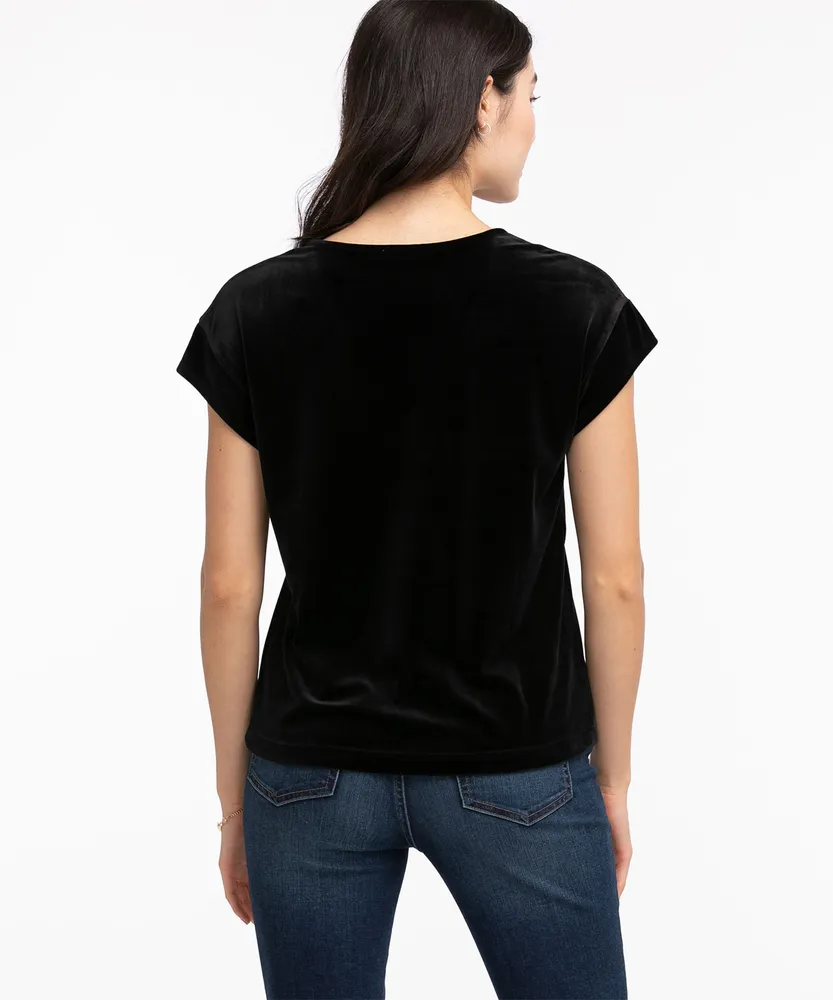 Short Sleeve Velour Top