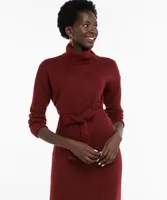 Turtleneck Sweater Dress