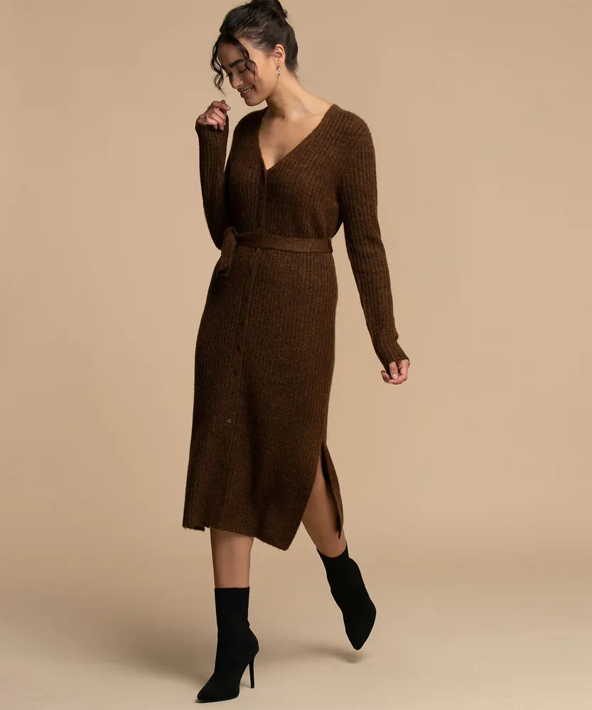 Button Front Sweater Dress