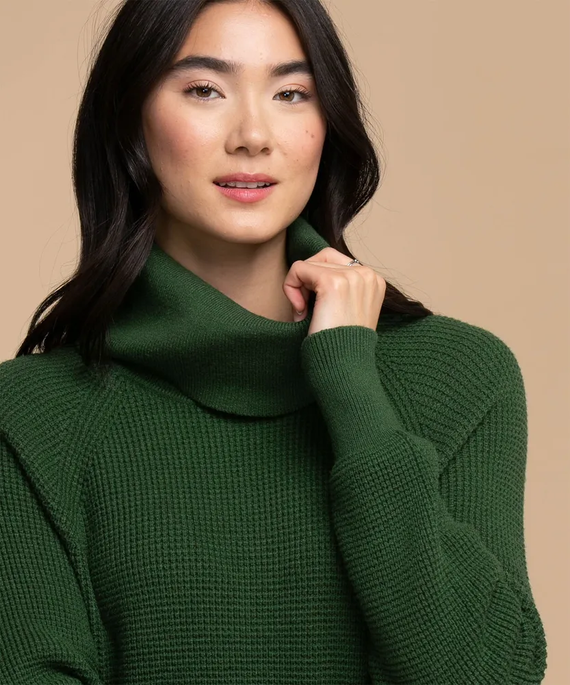 Cowl Neck Sweater Dress