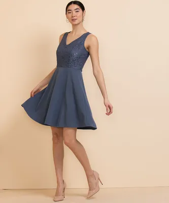 Sleeveless Lace Bodice Fit & Flare Dress