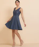 Sleeveless Lace Bodice Fit & Flare Dress
