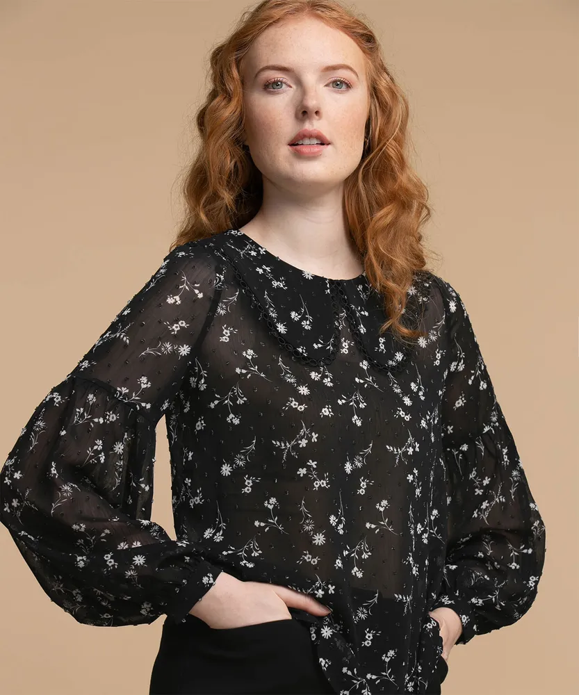 Sheer Portrait Collar Blouse