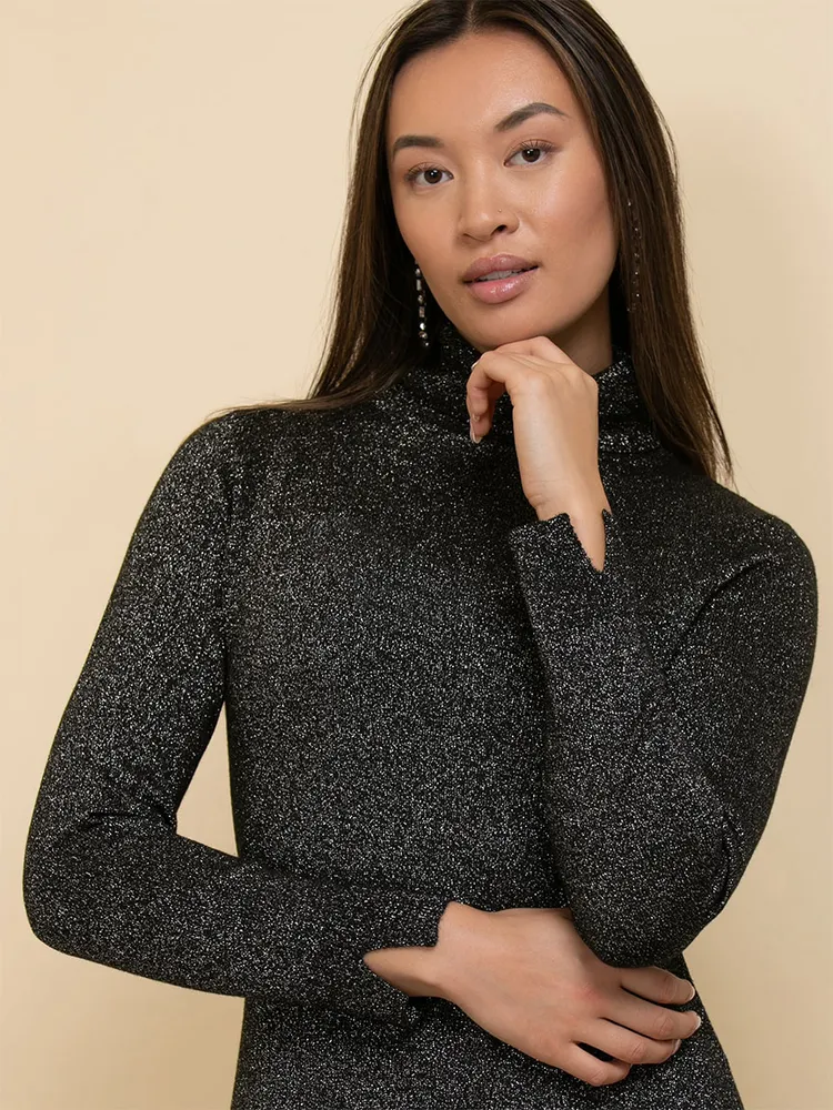 Turtleneck Sparkle Knit Dress