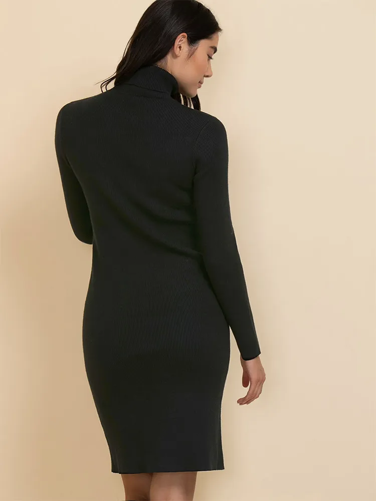 Turtleneck Ribbed Dress