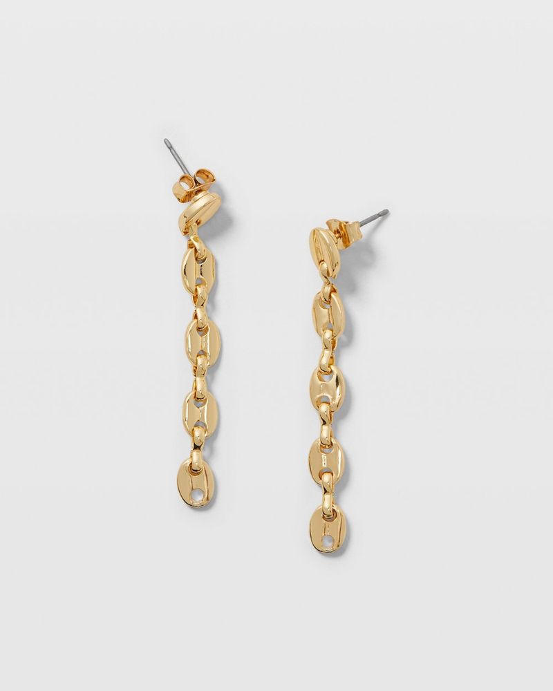 Oval Link Earrings