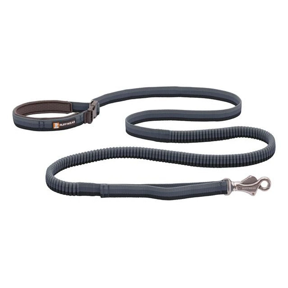 Roamer Leash