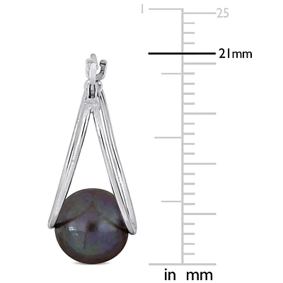 Ladies' 8-8.5mm Black Freshwater Cultured Pearl Earrings in 10k White Gold