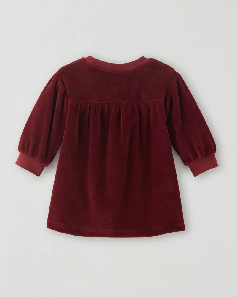 Baby Velvet Dress