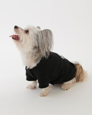 Roots Pooch Original Kanga in Black