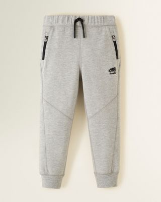 Roots Toddler Boy's Active Journey Jogger Pants in Grey Mix
