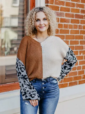 Mae V-Neck Color Block Leopard Sweater