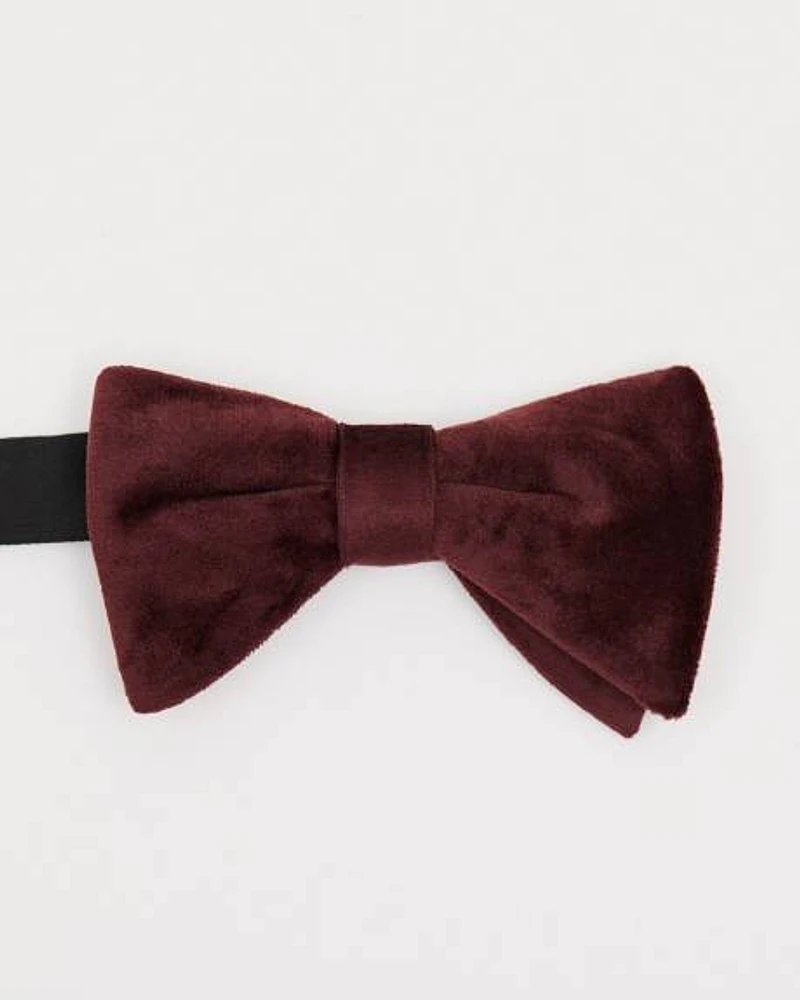 Velvet Bow Tie