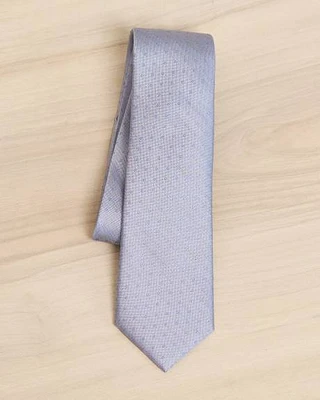 Regular Tie with Textured Dots