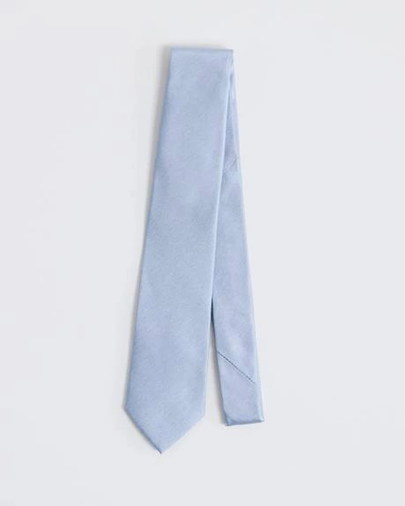Shiny Solid Tie