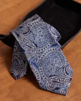 Blue Regular Tie with Paisley Pattern