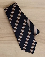 Navy Regular Tie with Stripes