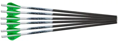 Proflight Carbon Arrows - in. - 250 gr