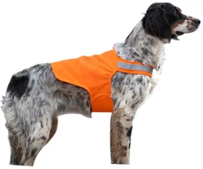 Hunting Dog Safety Vest
