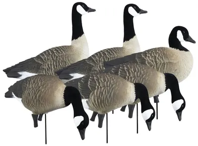 Apex Full-Size Full-Body Decoy - 6/PK