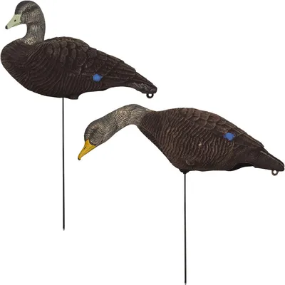 Black Duck Flocked Full Body Decoy - 6/PK