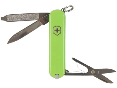 Classic SD Folding Pocket Knife