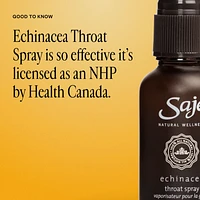 Echinacea