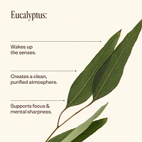 Eucalyptus Oil