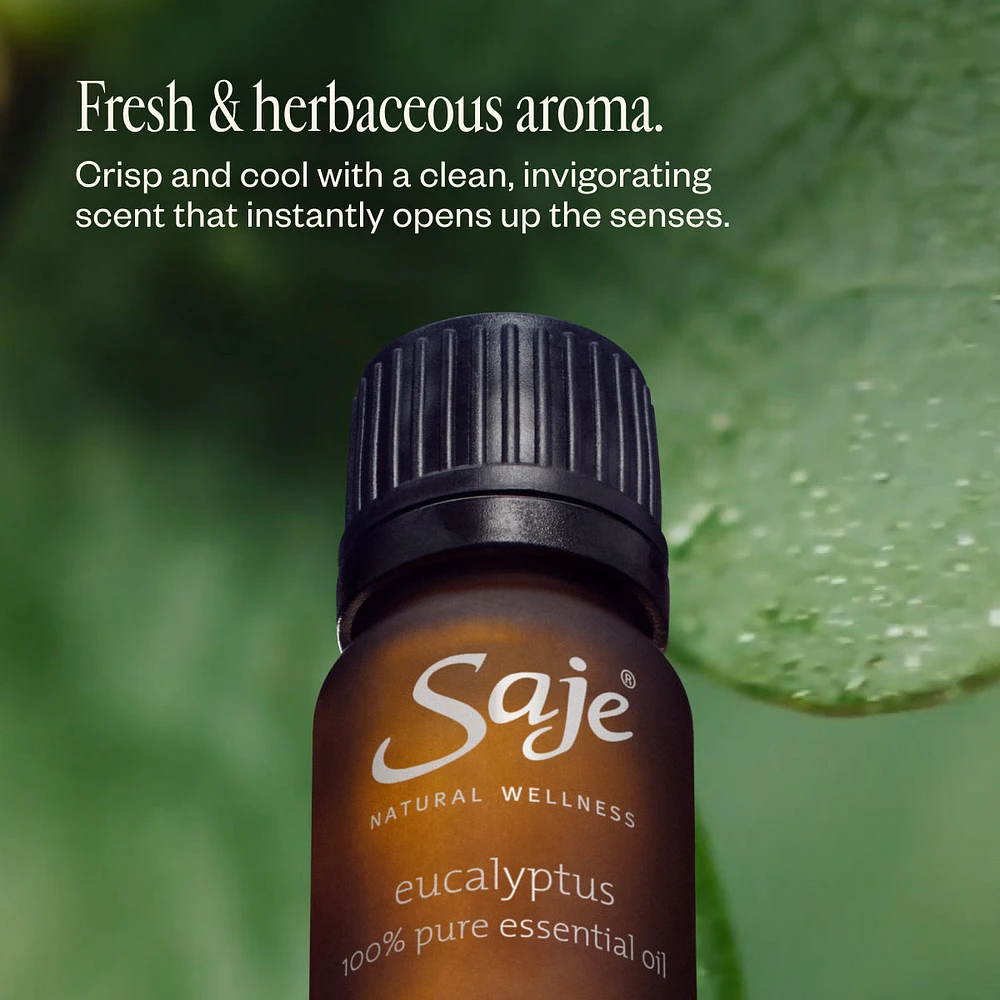 Eucalyptus Oil