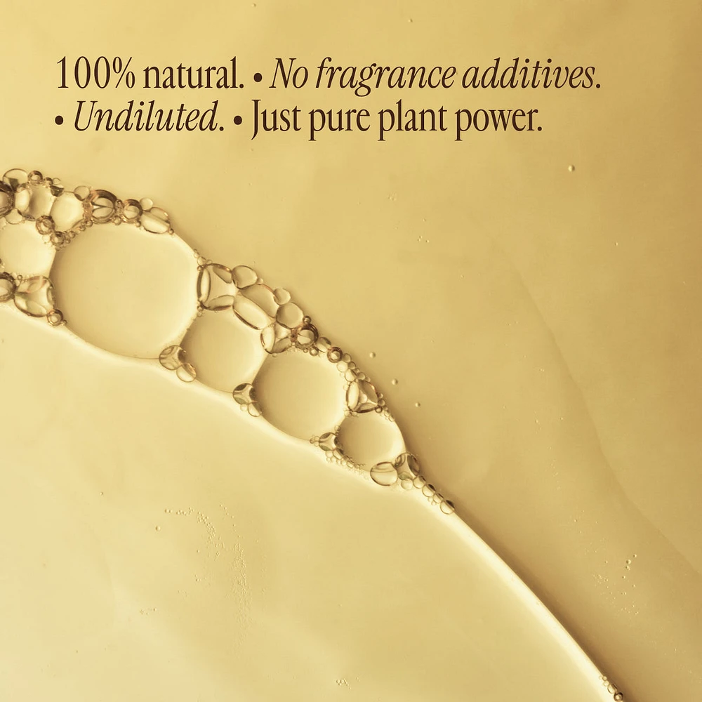 Eucalyptus Oil