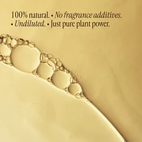 Eucalyptus Oil