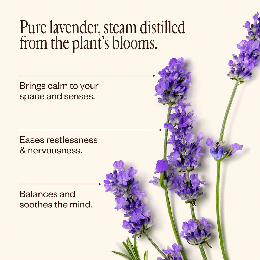 Lavender Oil
