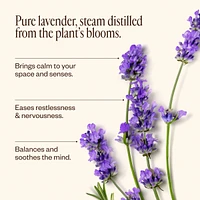 Lavender Oil