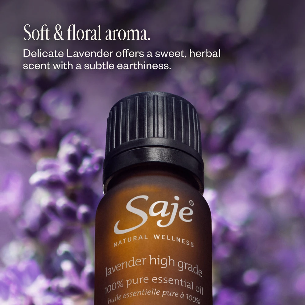 Lavender Oil