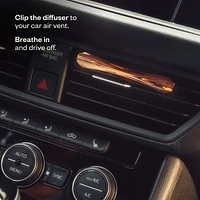 Drive Renewed