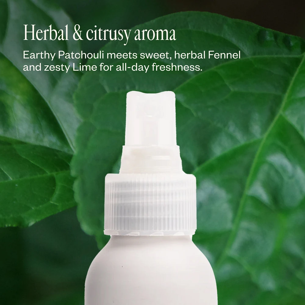 Natural Deodorant Trio