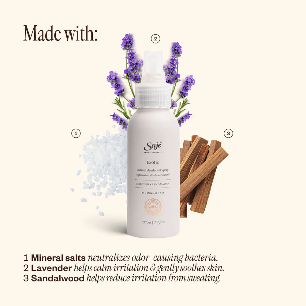 Natural Deodorant Trio