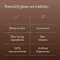 Natural Deodorant Trio