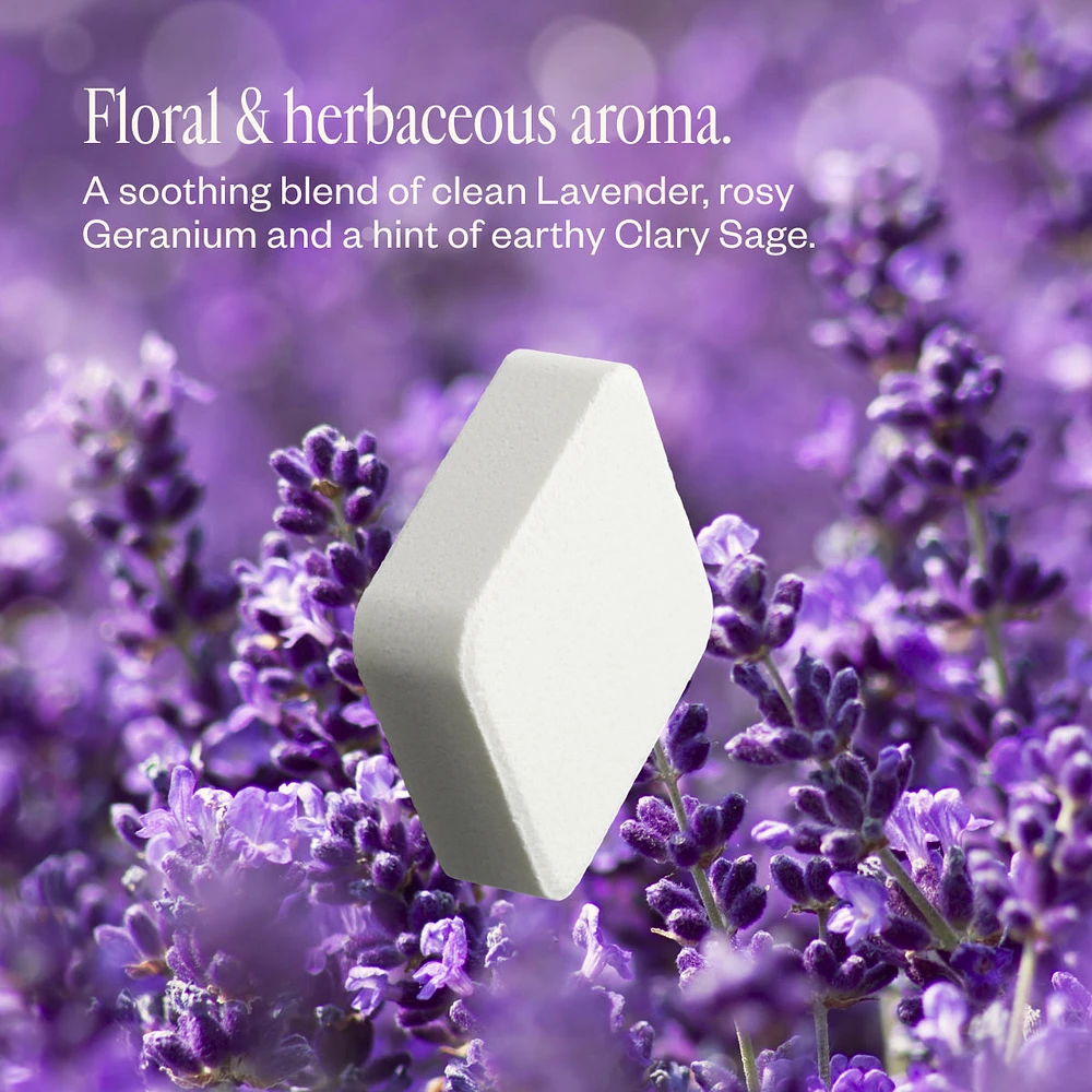 Lavender Haze