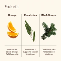 Multi-Surface Cleaning Kit
