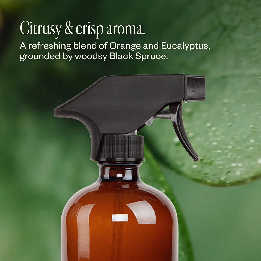 Multi-Surface Cleaning Kit